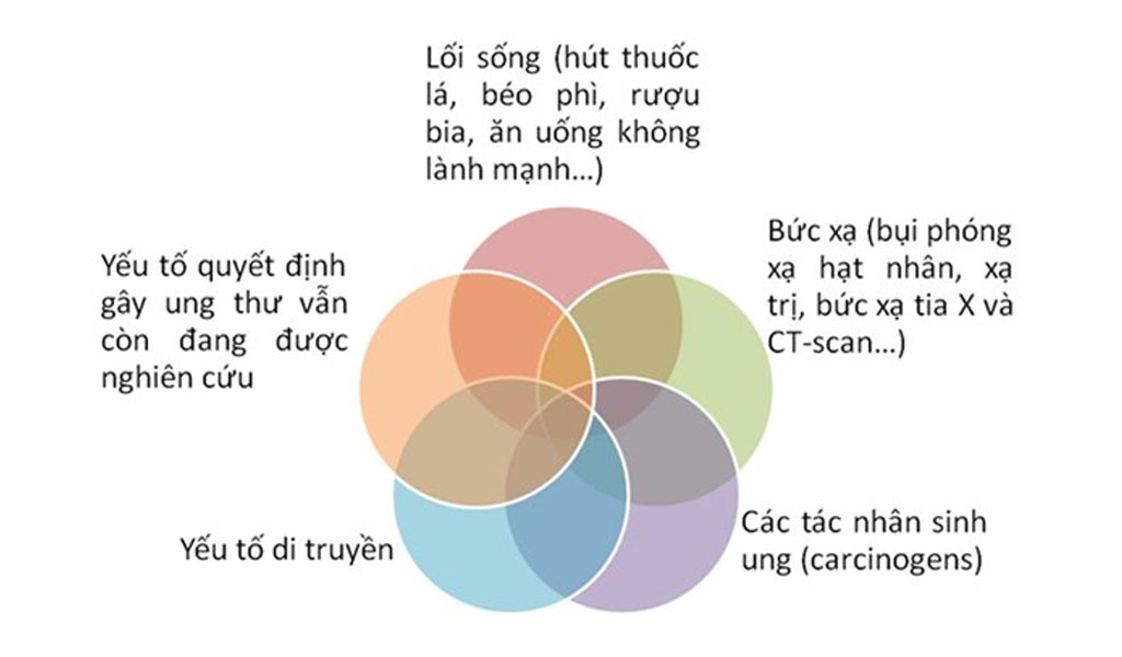 Yếu tố nguy cơ ung thư phổi