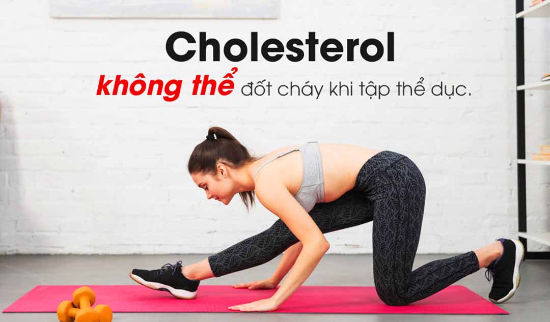 Bạn có thể đốt cháy cholesterol?