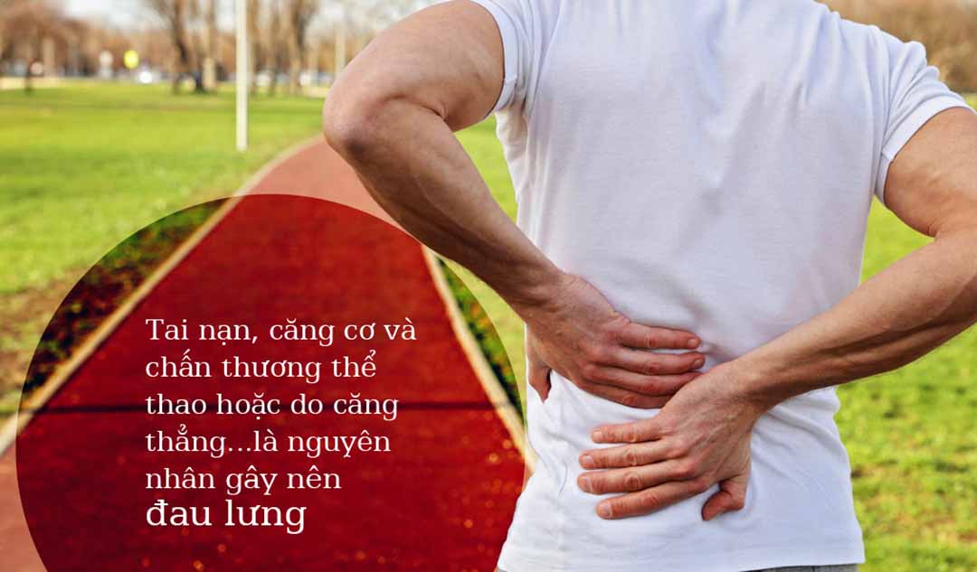 Điều gì gây nên đau lưng?