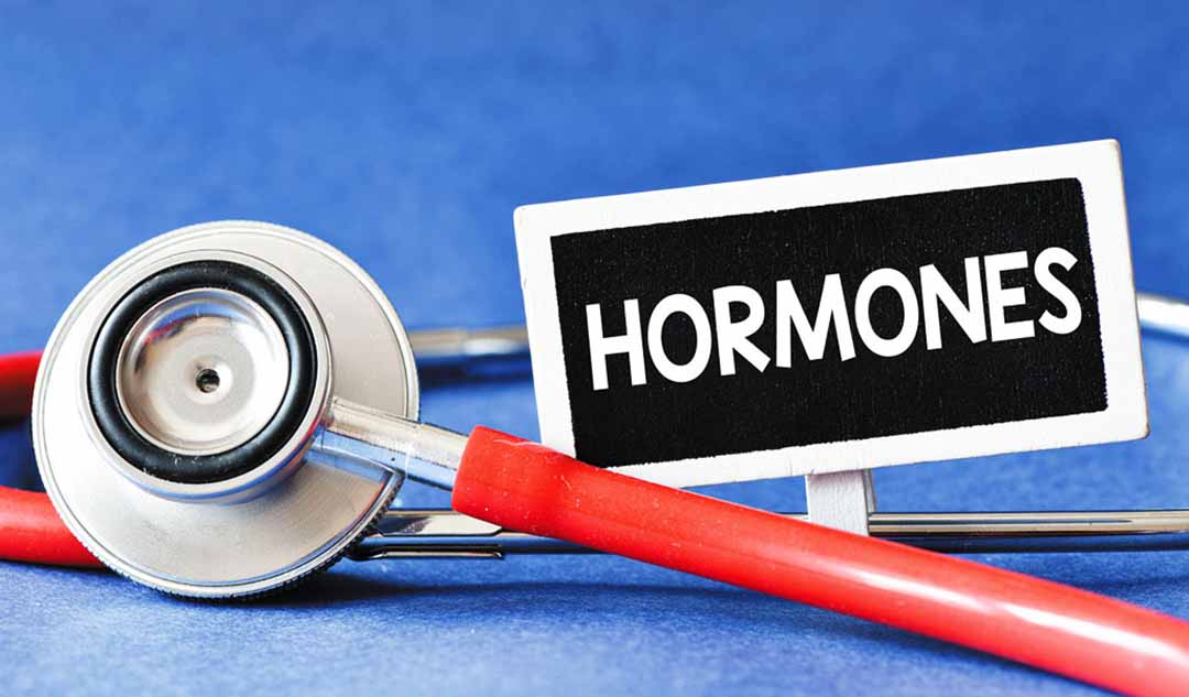 Mối liên hệ giữa ung thư vú và hormone là gì?