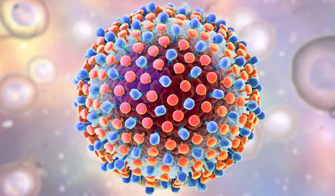 Bao lâu thì tải lượng virus viêm gan C (HCV) không thể phát hiện được trước khi ai đó được chữa khỏi ?