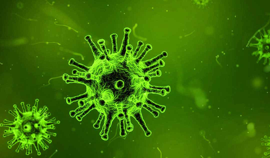 Các loại vi rút hoặc nấm nào có thể gây viêm khớp nhiễm trùng ?