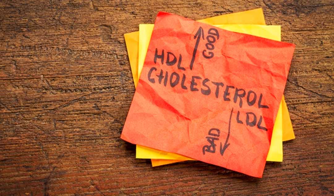 Hai dạng cholesterol là gì?