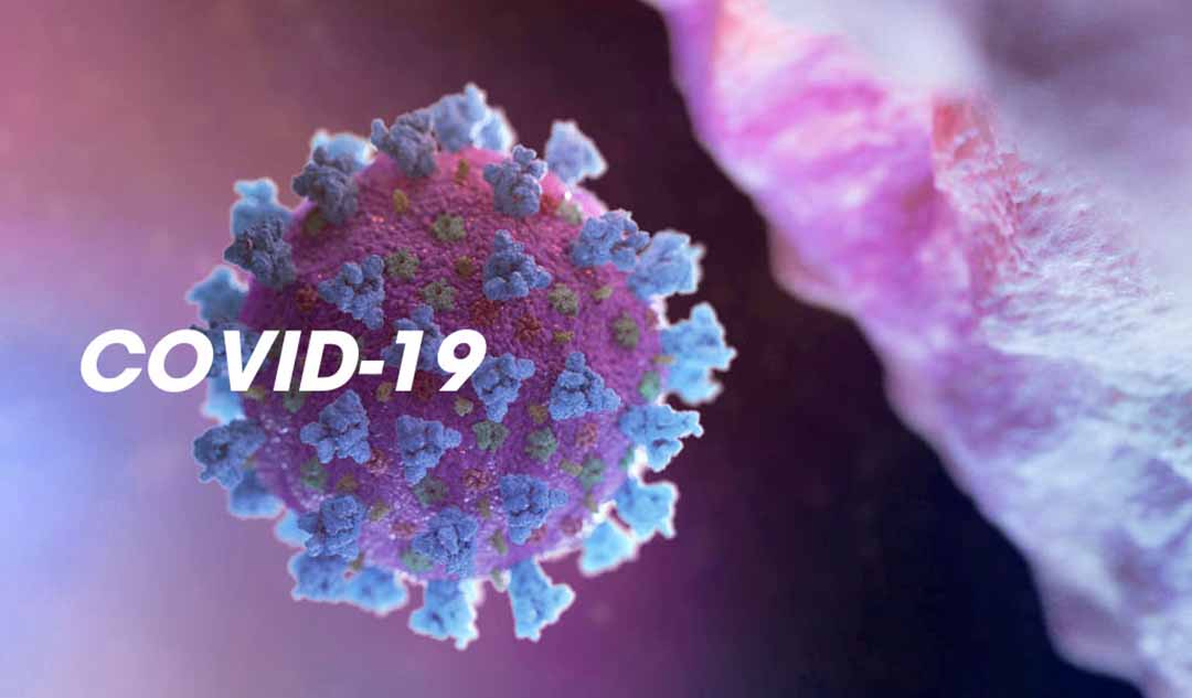 Khi đã nhiễm virus corona (Covid-19), cơ thể có được miễn dịch sau này?