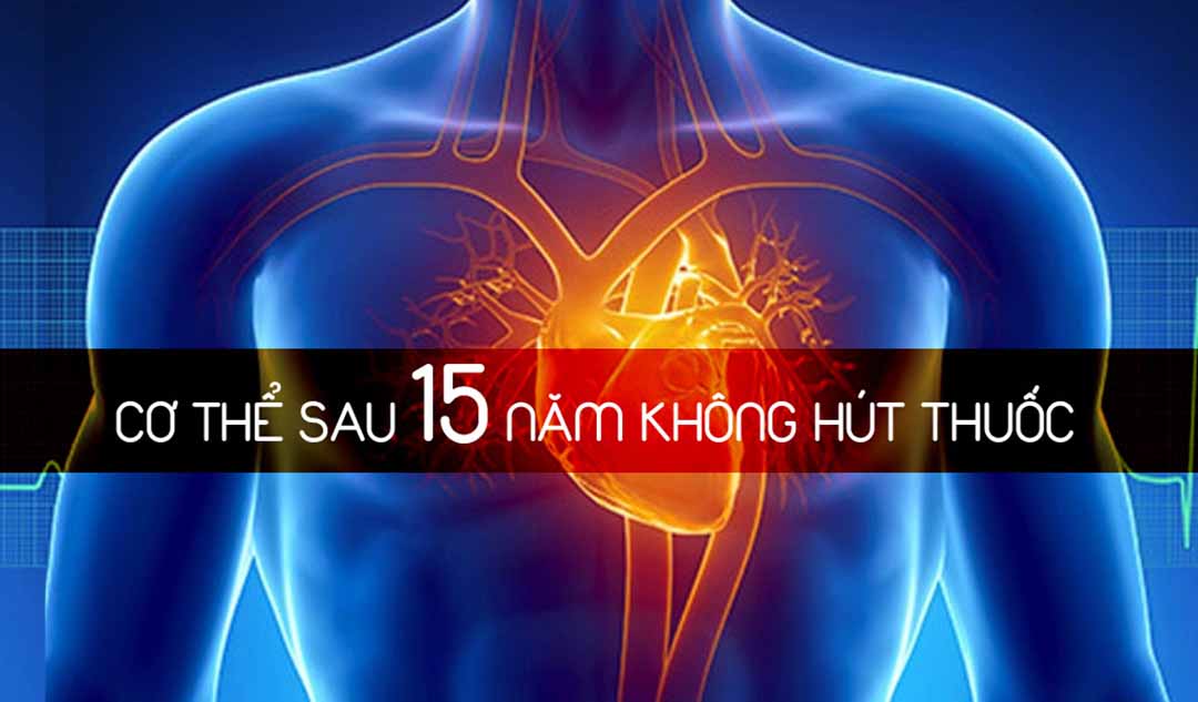 Điều gì xảy ra với cơ thể sau 15 năm không hút thuốc?