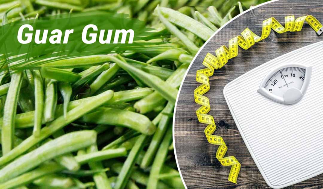 Liệu guar gum giúp giảm cân?
