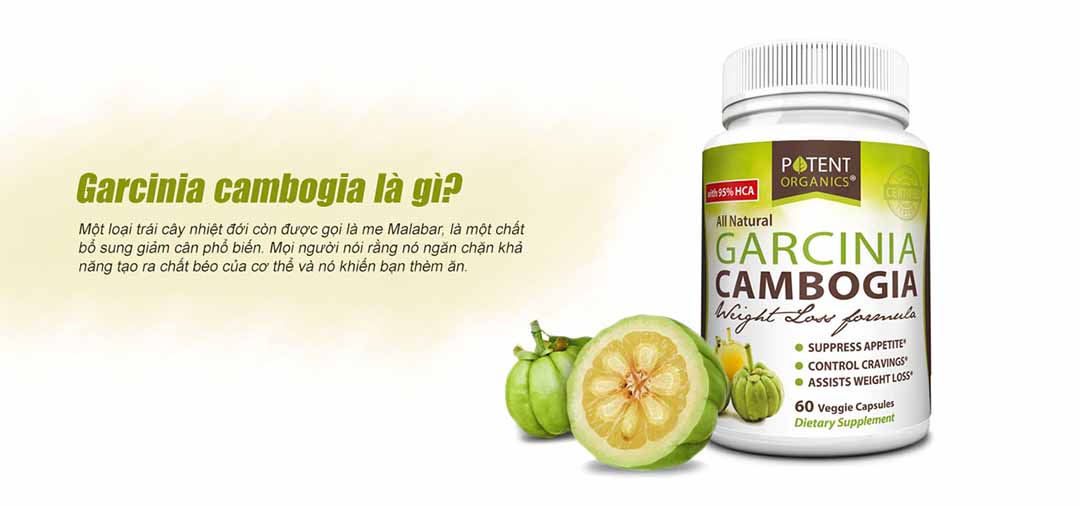 Garcinia cambogia là gì?  