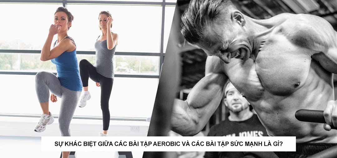 Sự khác biệt giữa các bài tập aerobic và các bài tập sức mạnh là gì?  