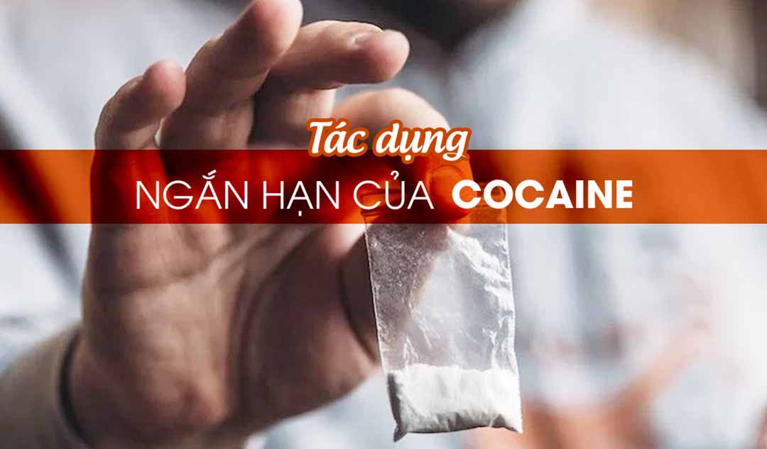 Tác dụng ngắn hạn của cocaine là gì?