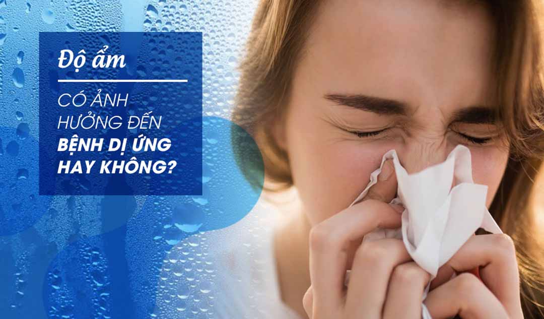 Độ ẩm có ảnh hưởng đến bệnh dị ứng hay không?