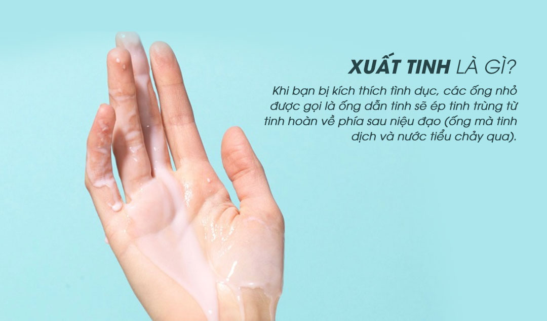 Xuất tinh là gì?