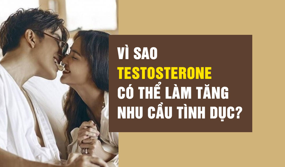 Vì sao testosterone có thể làm tăng nhu cầu tình dục?