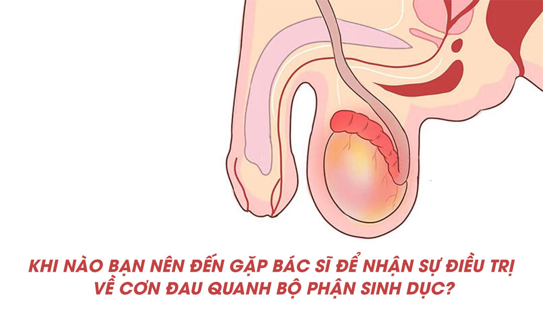 Khi nào bạn nên đến gặp bác sĩ để nhận sự điều trị về cơn đau quanh bộ phận sinh dục?