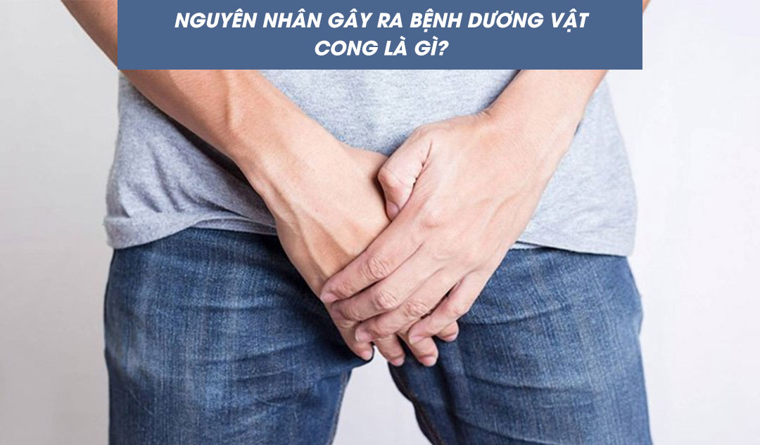 Nguyên nhân gây ra bệnh dương vật cong là gì?