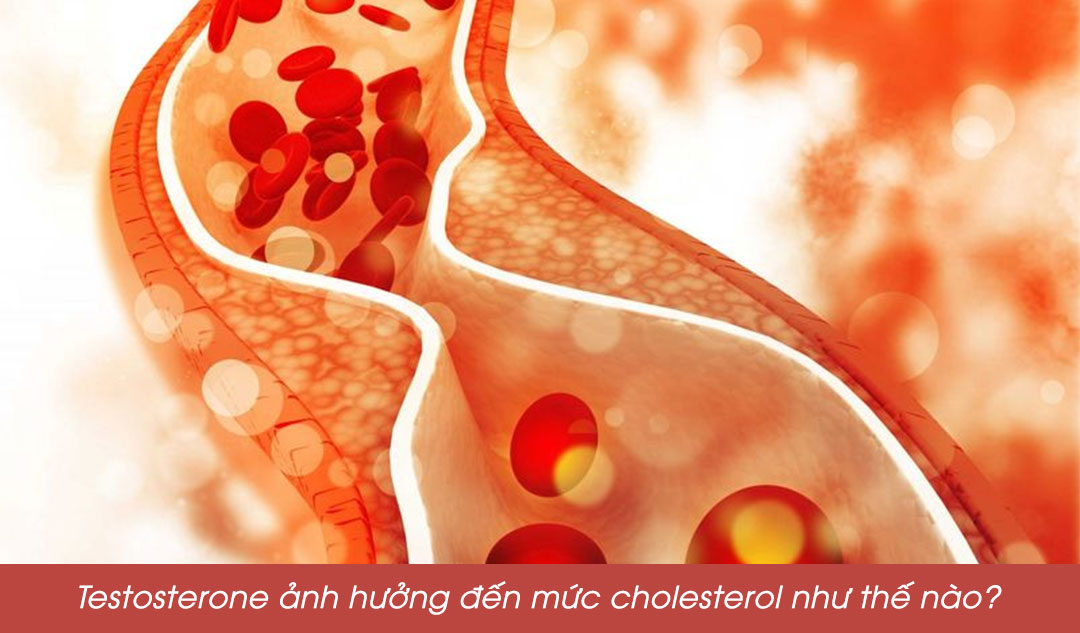 Testosterone ảnh hưởng đến mức cholesterol như thế nào?