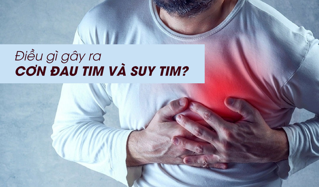 Điều gì gây ra cơn đau tim và suy tim?