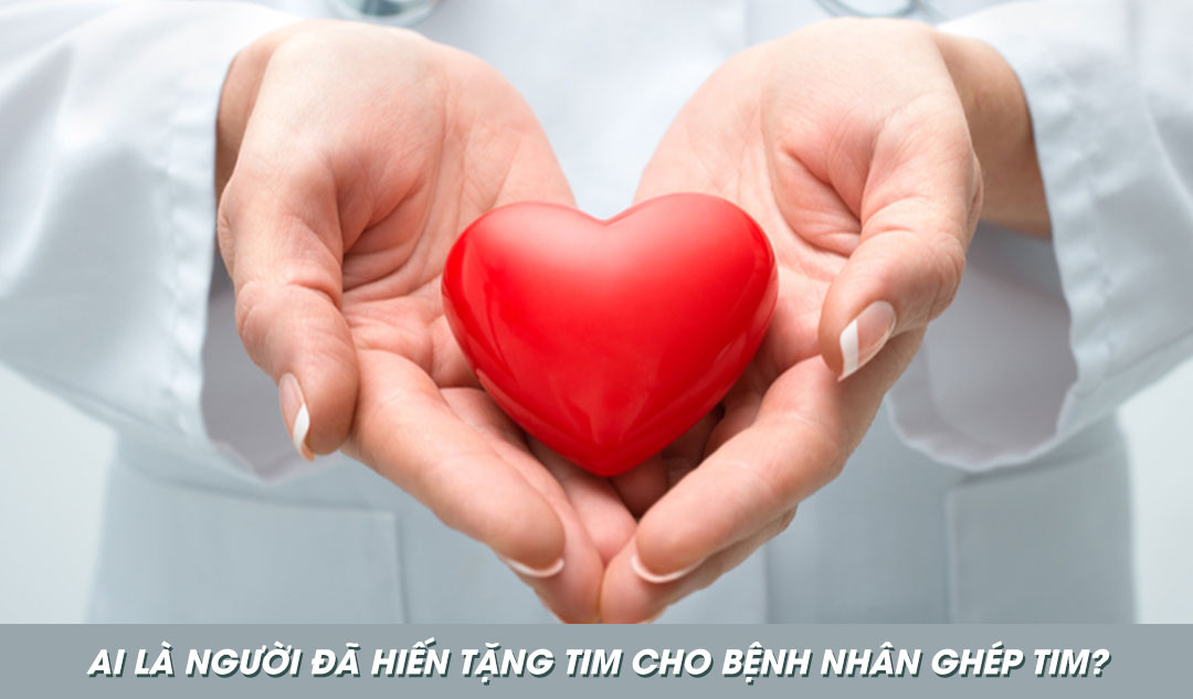 Ai là người đã hiến tặng tim cho bệnh nhân ghép tim?