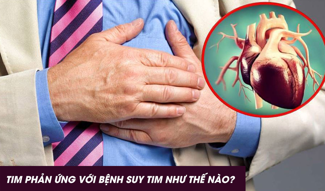 Tim phản ứng với bệnh suy tim như thế nào?