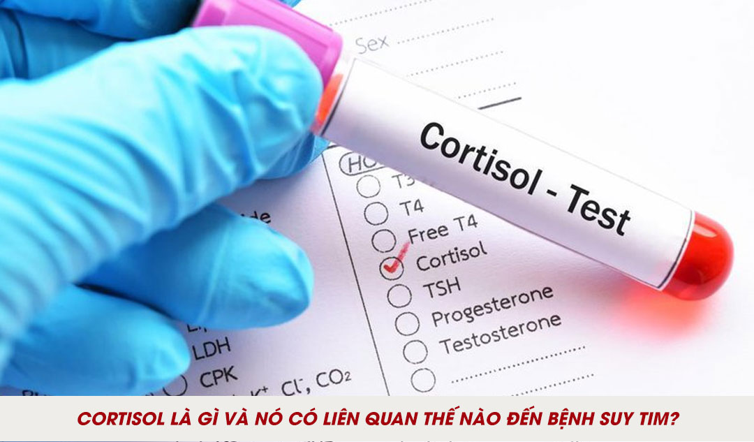 Cortisol là gì và nó có liên quan thế nào đến bệnh suy tim?