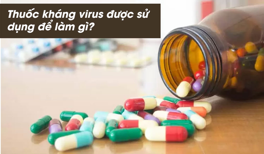 Thuốc kháng virus được sử dụng để làm gì?