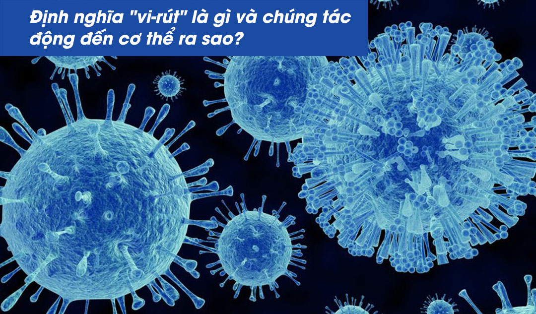 Định nghĩa "vi-rút" là gì và chúng tác động đến cơ thể ra sao?