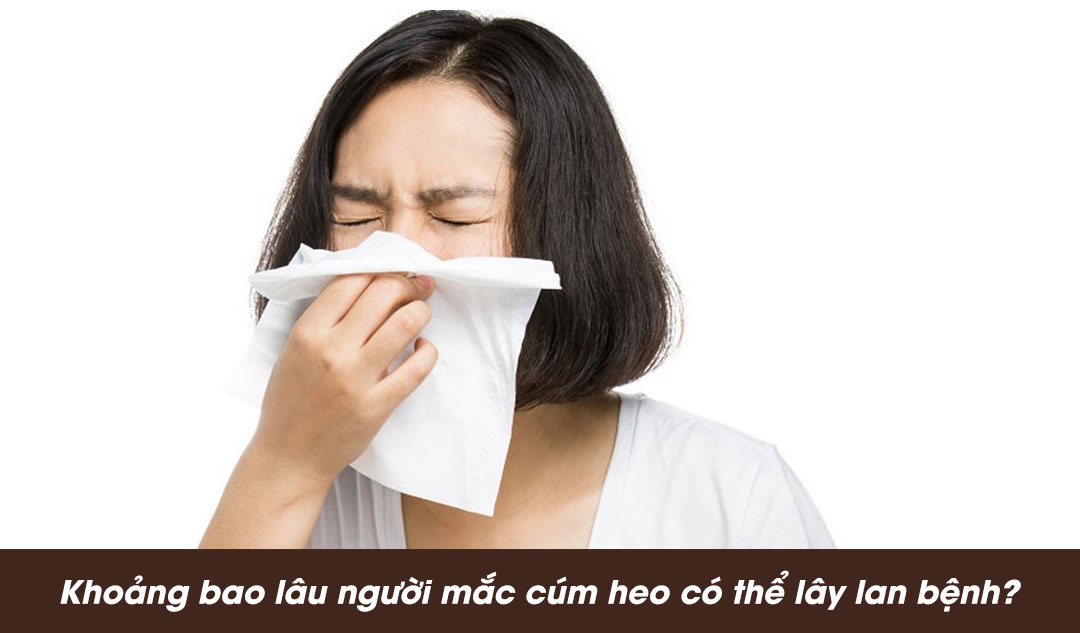 Khoảng bao lâu người mắc cúm heo có thể lây lan bệnh?