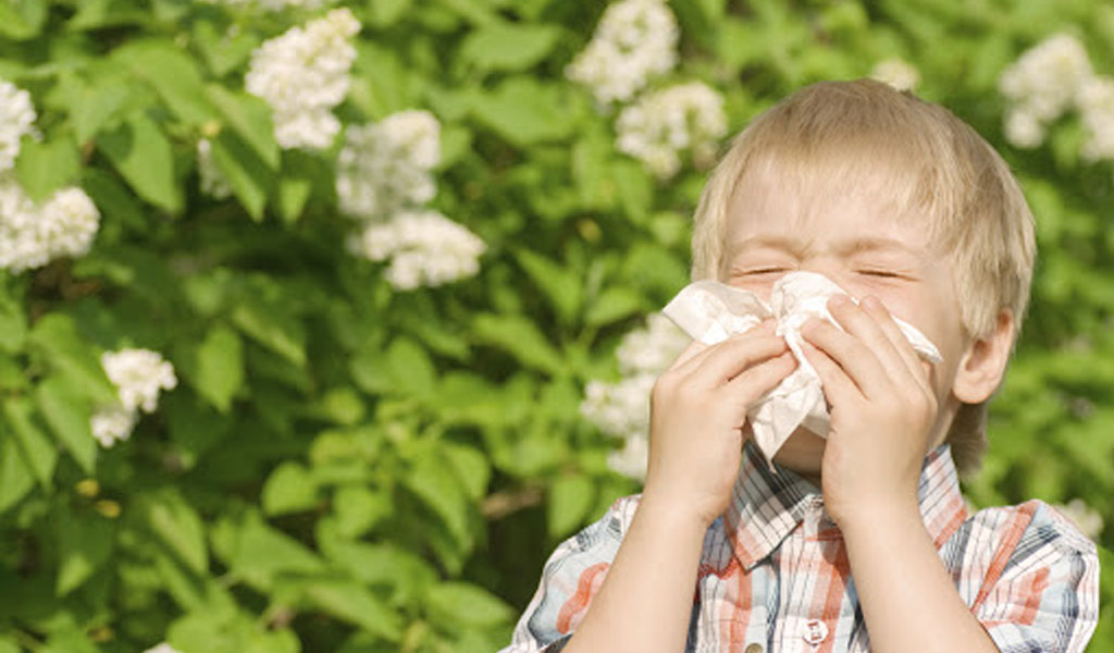 Số hoa cỏ (Hay fever) thường có các triệu chứng gì?