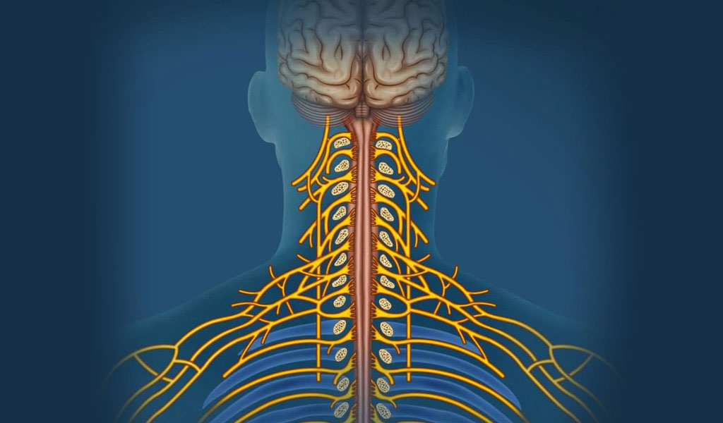 Ung thư có thể gây tổn thương thần kinh không?