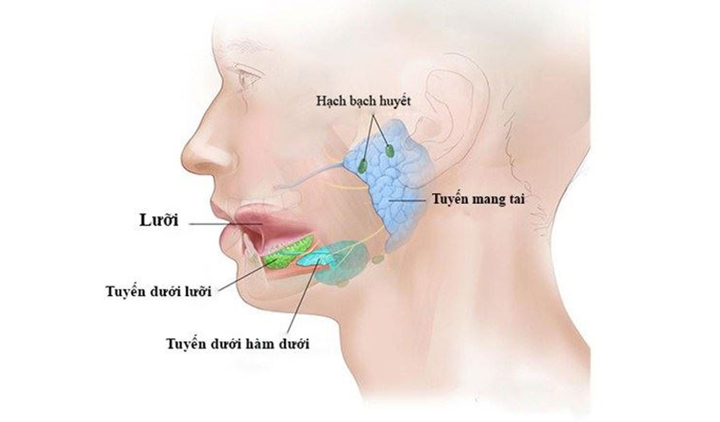 Ung thư tuyến nước bọt có những triệu chứng nào?