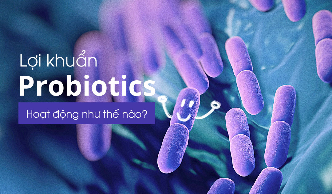 Lợi khuẩn (probiotics) hoạt động như thế nào?