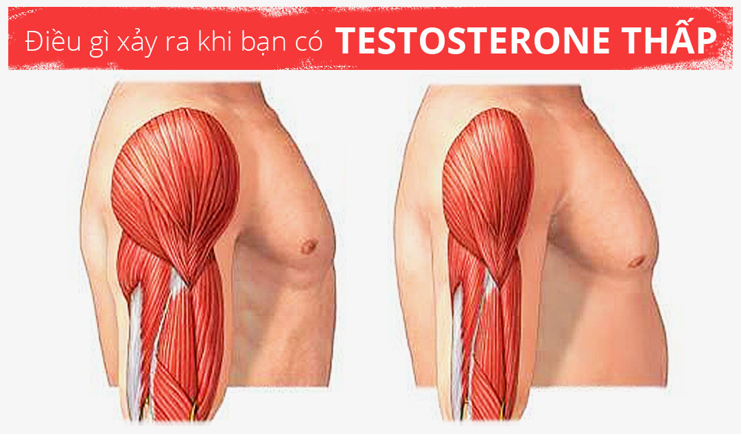 Điều gì xảy ra khi bạn có testosterone thấp?