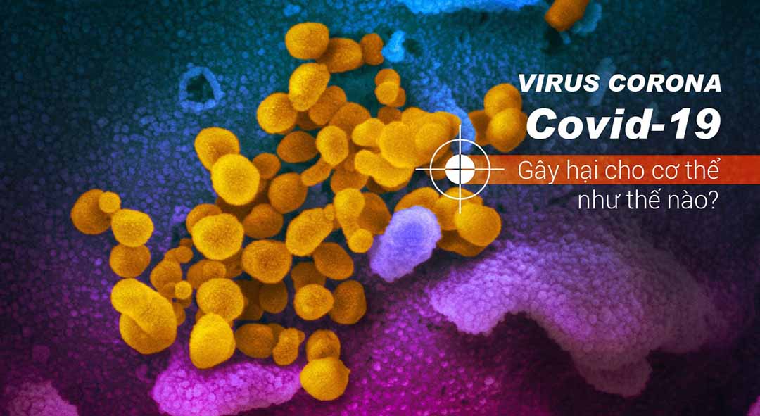 Virus corona (Covid-19) gây hại cho cơ thể như thế nào?