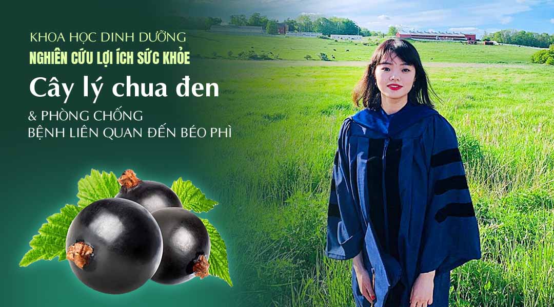 Khoa học dinh dưỡng nghiên cứu lợi ích sức khỏe của cây lý chua đen và phòng chống bệnh liên quan đến béo phì