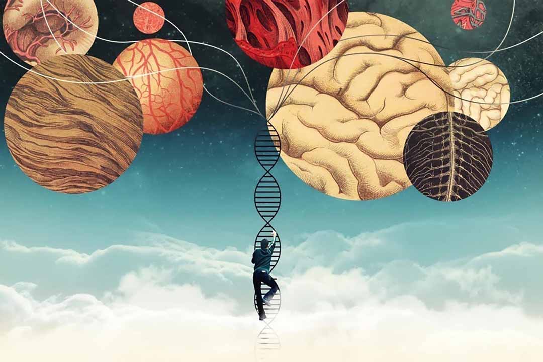 Alzheimer và yếu tố di truyền