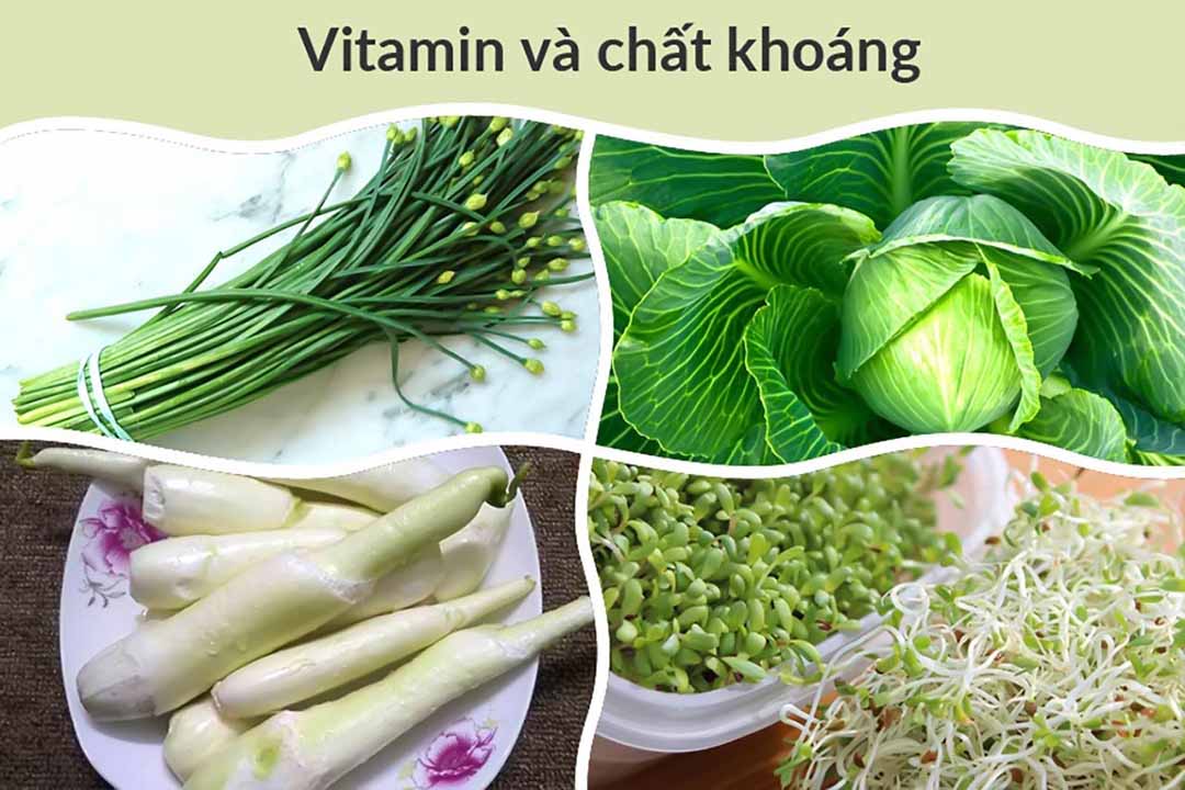 Vitamin và chất khoáng trong Lá hẹ - Rau bắp cải - Củ niễng - Giá đỗ xanh 