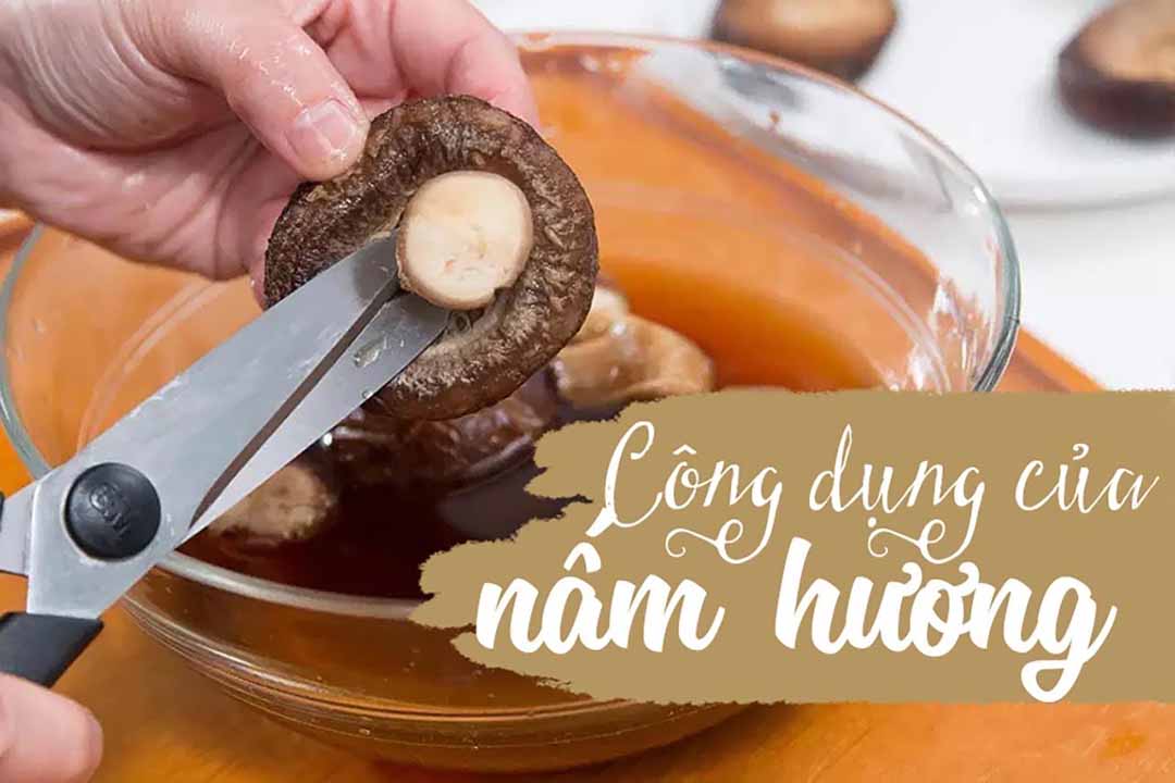 Vitamin và chất khoáng trong Bầu - Su su - Nấm rơm - Nấm hương