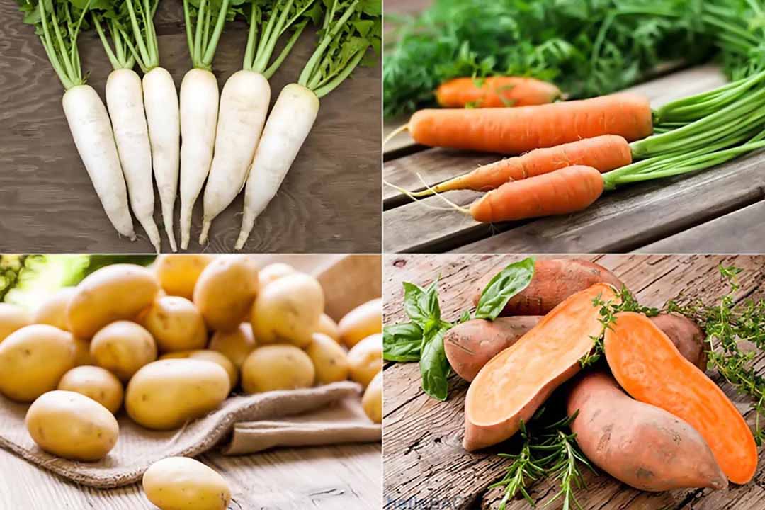Vitamin và chất khoáng trong củ cải - cà rốt - khoai tây - khoai lang