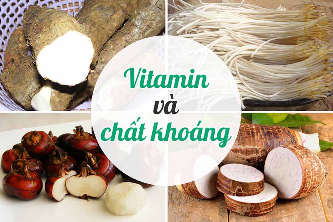 Vitamin và chất khoáng trong sơn dược - ngó sen - mã thầy - khoai sọ