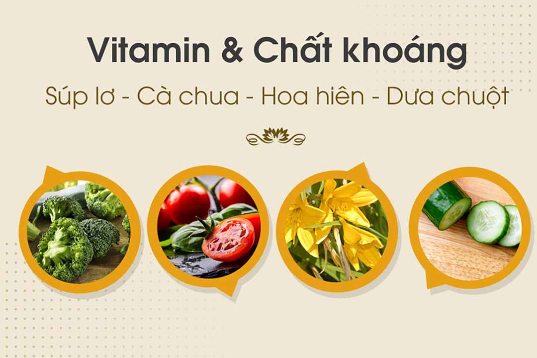 Vitamin và chất khoáng trong Súp lơ - Cà chua - Hoa hiên - Dưa chuột 