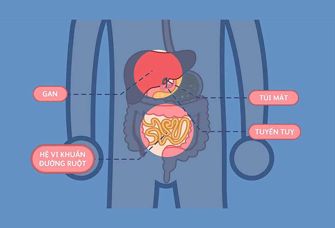 Hệ tiêu hóa của trẻ em có đặc điểm gì?