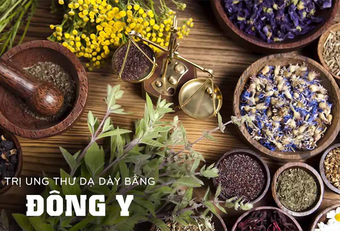 Trị bệnh ung thư dạ dày bằng Đông y