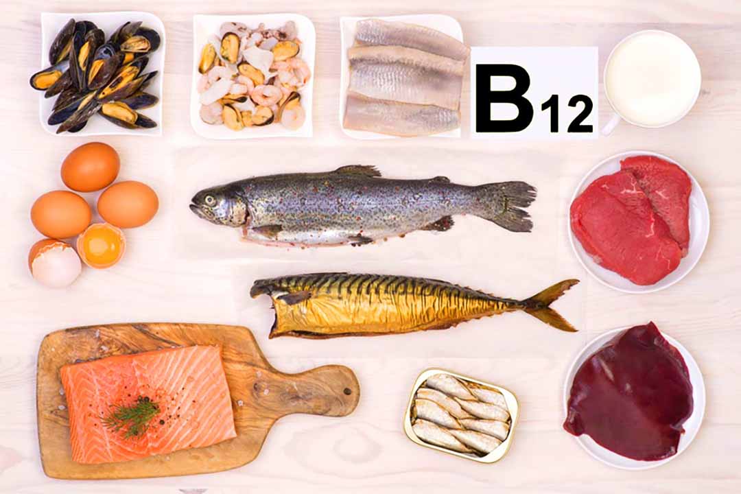 Những vitamin thiết yếu cho cơ thể - Vitamin B12