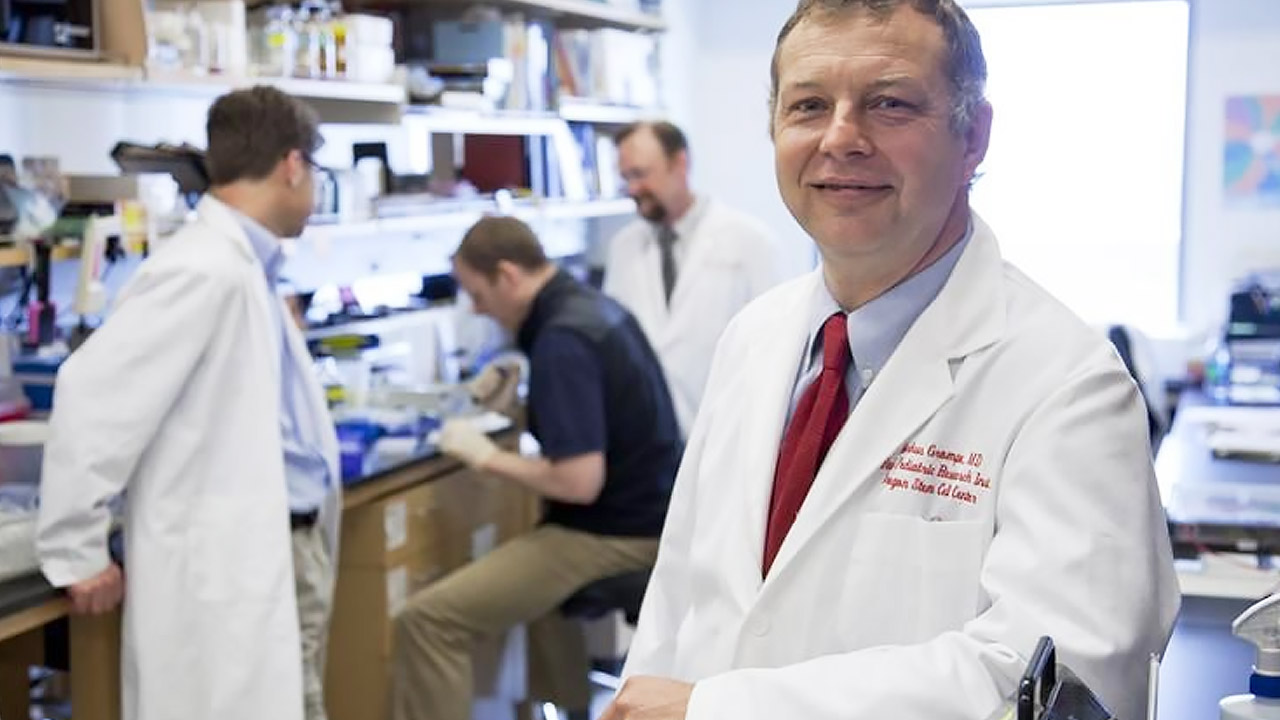 Mark Grompe, MD và các đồng nghiệp tại Đại học Y tế & Khoa học Oregon đã phát triển một cách tiếp cận mới đối với liệu pháp gen sử dụng thuốc giảm đau thông thường acetaminophen để làm thuyên giảm nhiều loại bệnh di truyền.