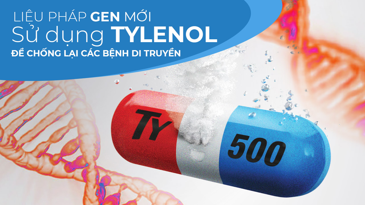 Liệu pháp gen mới sử dụng Tylenol để chống lại các bệnh di truyền