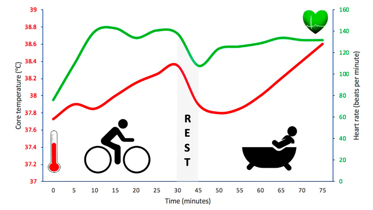 Biểu đồ đường biểu thị nhiệt độ cốt lõi và nhịp tim phản ứng với 30 phút đạp xe cường độ trung bình, sau đó là 30 phút ngâm mình trong bồn nước nóng (40 ° C), cách nhau 15 phút nghỉ ngơi. 