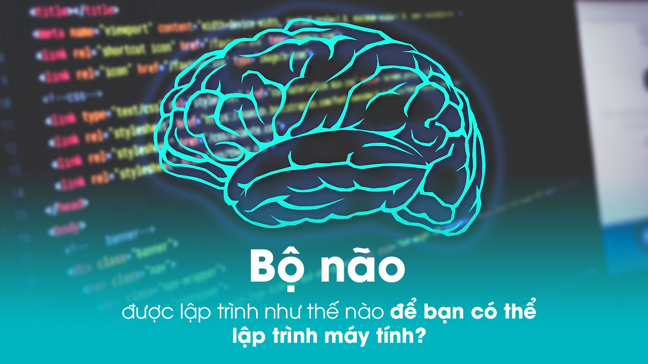 Bộ não được lập trình như thế nào để bạn có thể lập trình máy tính?