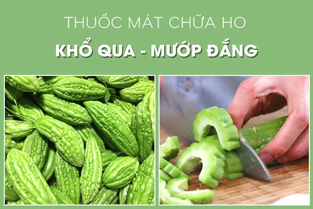 Khổ qua - mướp đắng vị thuốc mát chữa ho