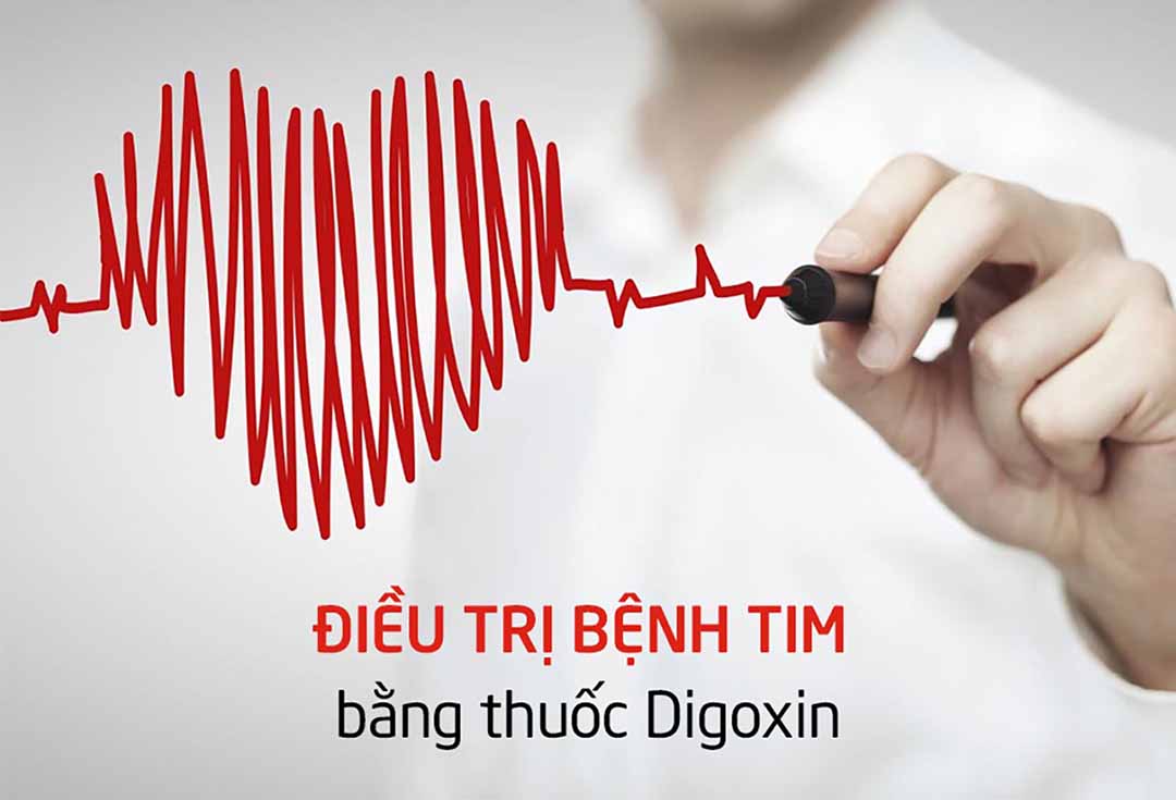 Điều trị bệnh tim bằng thuốc Digoxin