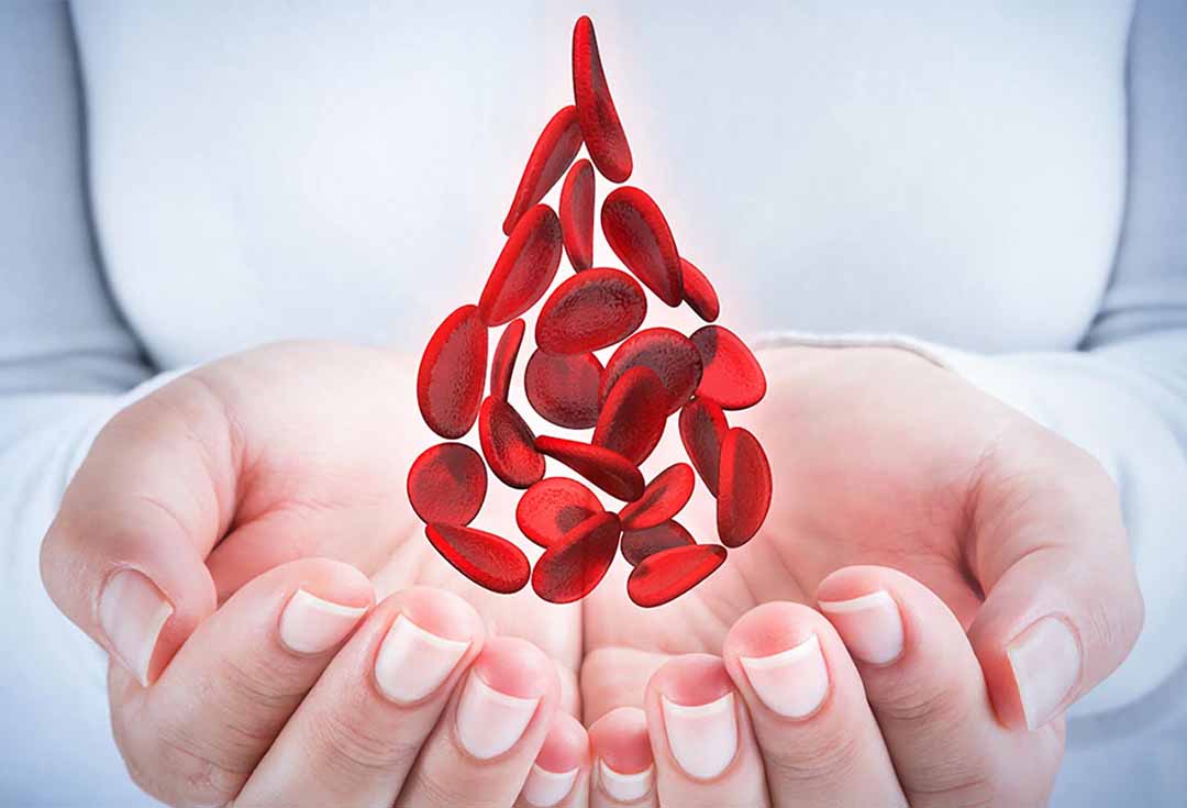 Ngăn ngừa chảy máu bằng cách làm máu đông lại tại vị trí bị thương.
