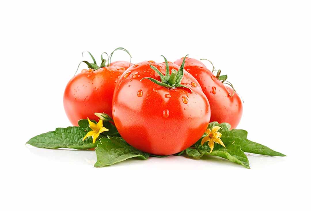 Ăn nhiều cà chua sống và chín giúp chống oxy hóa ngăn ngừa tổn thương DNA.
